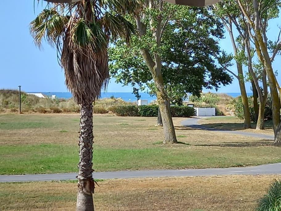 Amouvera C14, T2 Vue Mer, Piscine, Clim, Parking Agde Exterior photo